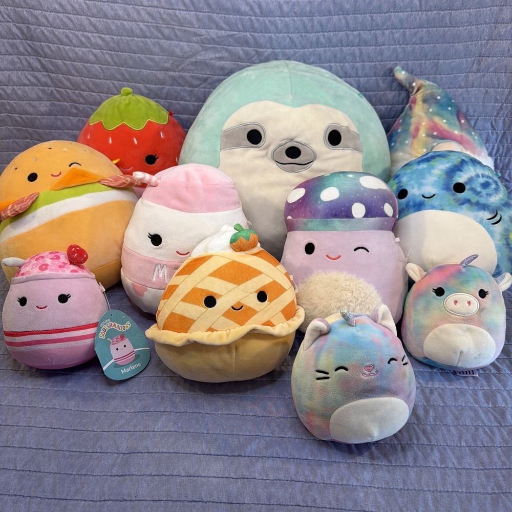 Lot of 11 Squishmallows 6-13" Mixed Food & Animal Plush Bundle Used, Some W/ Tag